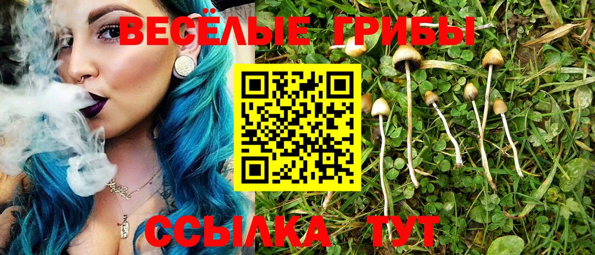 Галлюциногенные грибы Psilocybine cubensis Каменка